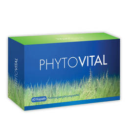 Phyto Vital 4-Monatskur 4 Schachteln